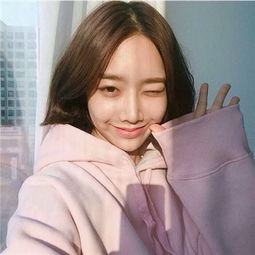 战争进化史中文版